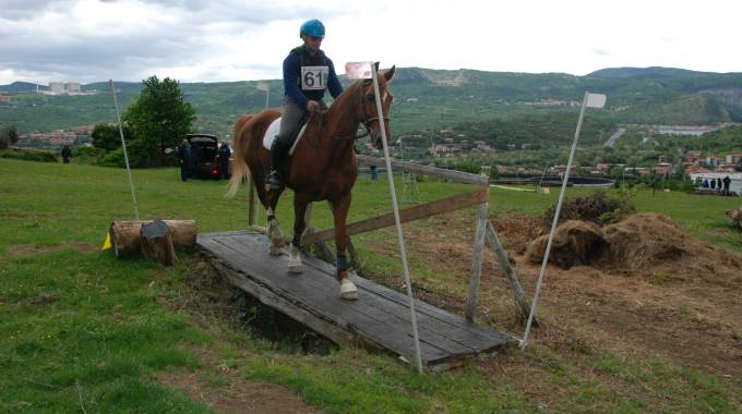 Il Friuli Venezia Giulia vince tra le regioni, l'Austria in Europa