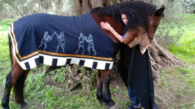 Horse Painting In Sardegna Un Medioevo Fiabesco A Sostegno Dell Infanzia Cavallo Magazine