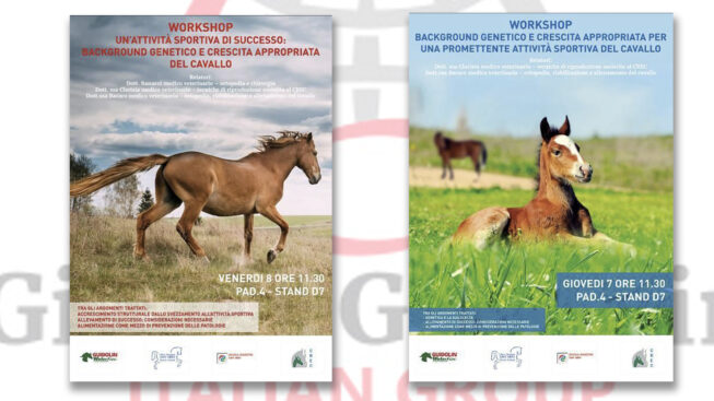 Workshop Gianni Guidolin a Fieracavalli - 7 e 8 novembre 2019