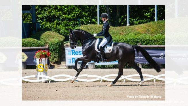 La Germania impera agli Europei giovanili di Dressage Cavallo Magazine