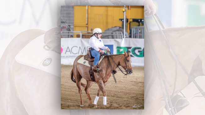 Giorgia Susani in sella a Dun Little Pincess ha segnato il top score dei Campionati Italiani di Parareining 2019 ©ABonaga