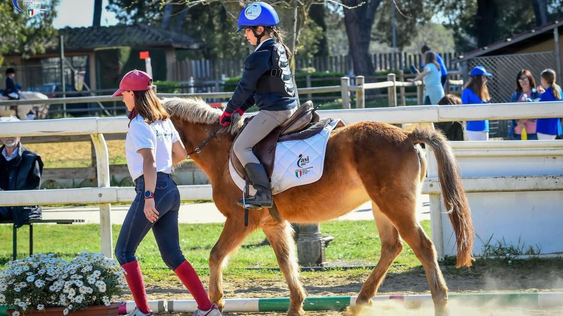 Tazza Per Insegnante Di Equitazione "Istruttore A Cavallo" - Regalo Divertente 330ml Per Maniaci Dei Cavalli