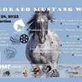 CO Mustang West resize 84A37DFA A67A 25D0 12CAAA3BD944F354 84a4a045 df45 aab8 830e25a2192a7add 120x120