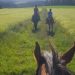 Germania: cresce il turismo equestre sostenibile