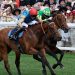 Lazzat in fuga per la vittoria