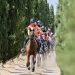 A Castiglione del Lago 8,7 M di Euro con i Zigulì FEI European Championship 2025