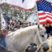 Bologna chiama il West…ed Equestrian Show risponde