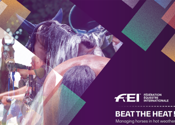 Beat the Heat: combattiamo il caldo