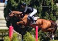 Steve Guerdat: la grandezza di un campione
