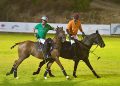 In Sardegna, cavalli e sport Equestri: i numeri della Fise