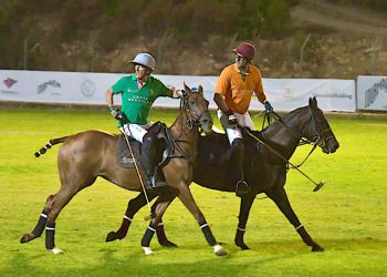 In Sardegna, cavalli e sport Equestri: i numeri della Fise