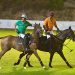 In Sardegna, cavalli e sport Equestri: i numeri della Fise