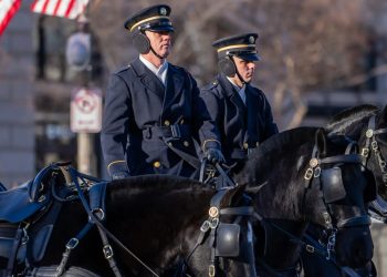 L’Esercito USA chiude 5 unità equestri cerimoniali