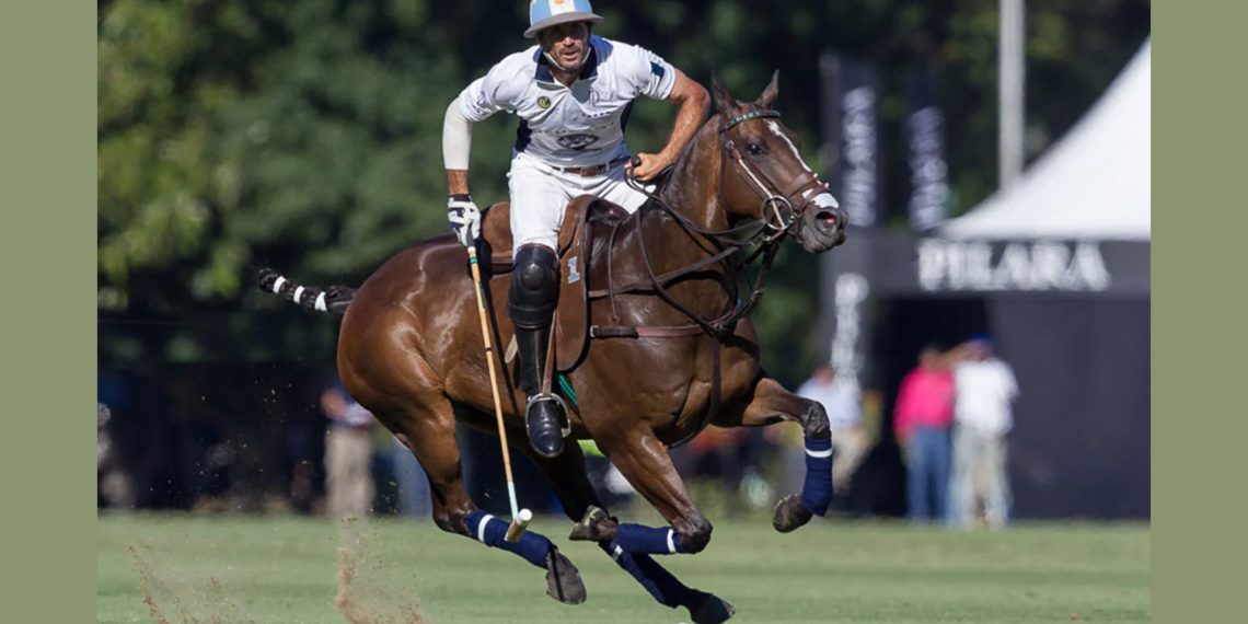 Cloni da polo: Cambiaso vince la battaglia genetica
