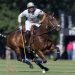 Cloni da polo: Cambiaso vince la battaglia genetica