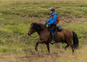 Derby Mongolo 2025: partecipa anche un’allevatrice islandese