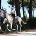 Dove si coltiva la passione per l’endurance