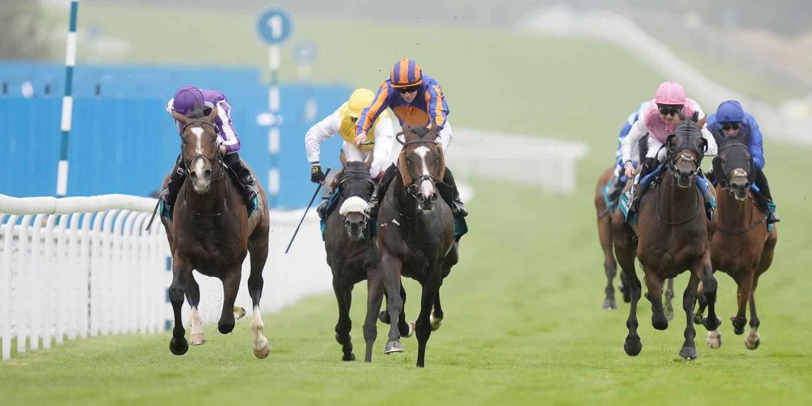 Scandinavia super nella Goodwood Cup