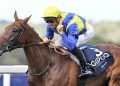 Tutto pronto ad Ascot per le King George VI and Queen Elizabeth Stakes