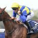Tutto pronto ad Ascot per le King George VI and Queen Elizabeth Stakes