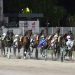 Al Sesana in palio la “Wild Card” per  Gp Città di Montecatini