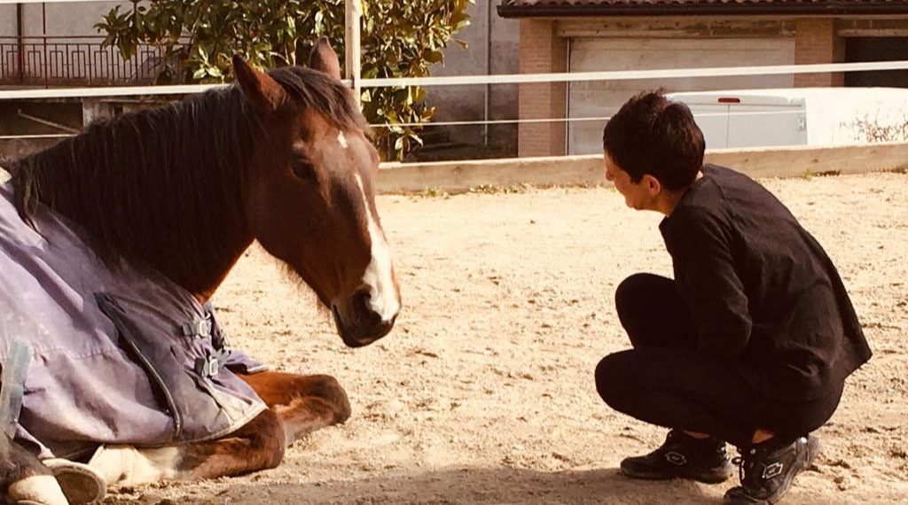 Reggio Emilia, Elisabeth è morta: probabilmente per il calcio di un suo cavallo