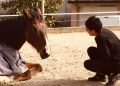 Reggio Emilia, Elisabeth è morta: probabilmente per il calcio di un suo cavallo