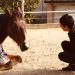 Reggio Emilia, Elisabeth è morta: probabilmente per il calcio di un suo cavallo