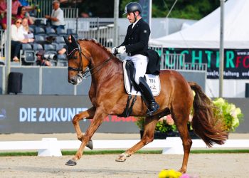 Verden: Alessandro Alemani allevatore da Mondiale