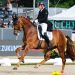 Verden: Alessandro Alemani allevatore da Mondiale