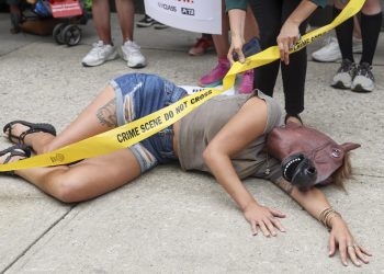 New York, Lady è morta per la rottura del’aorta
