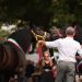 Nel segno di Athos, Sole e Atena: la Mostra del cavallo Bardigiano fa 50°