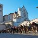 46° Cavalcata di Satriano al via, sulle ultime orme di San Francesco