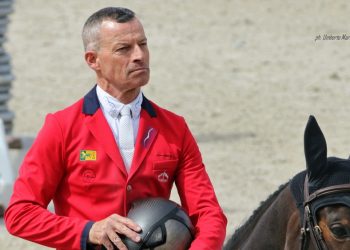 Pius Schwizer: cavalli dissequestrati
