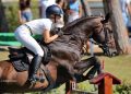 Austria: un Gran Premio molto azzurro