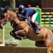 King Edward e Indiana: addio alla squadra
