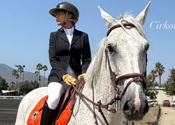 Elisabetta Canalis torna in gara