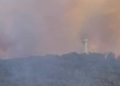 Incendio in Ciociaria: diversi cavalli morti