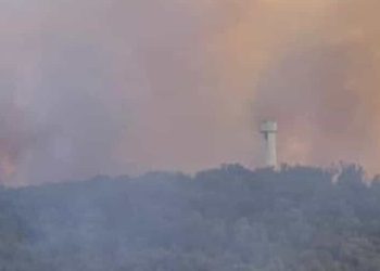 Incendio in Ciociaria: diversi cavalli morti