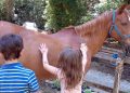 Arezzo, la Scuderia Pan fa incontrare bimbi e Saracino