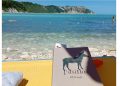 Libri sotto l’ombrellone: quale ti porti?