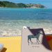 Libri sotto l’ombrellone: quale ti porti?