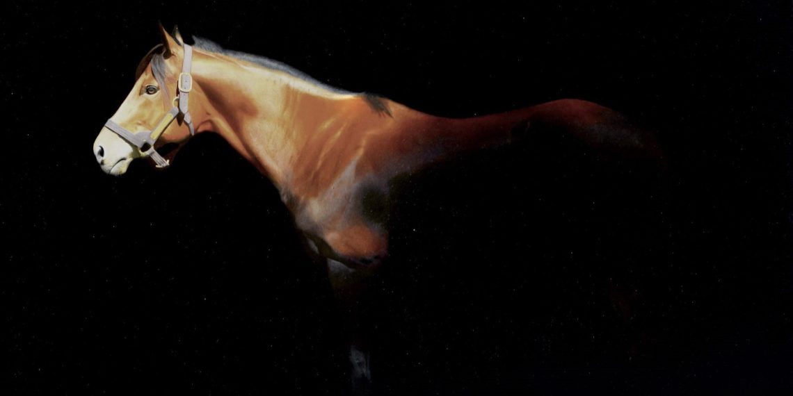 Alla Biennale  della Riviera Romana premiato Michi Grassi, pittore equestre