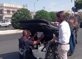 Palermo, multe non bastano? Si sequestra la carrozza