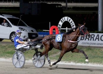 Spettacolo al Savio con il Gp Augusto Calzolari