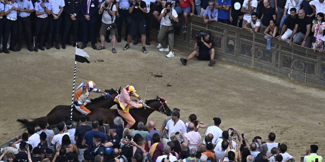 Palio di Siena: perché gli Anglo-Arabi, e non altri?
