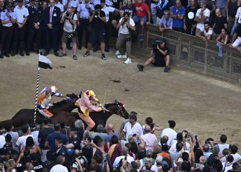 Palio di Siena: perché gli Anglo-Arabi, e non altri?