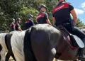 Basilicata, i Carabinieri a cavallo fanno il bis