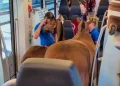 Due cavalli in treno: avevano il biglietto per i cani…