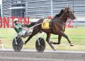 Nordic Catcher S vince l’Hambletonian a tempo di record!